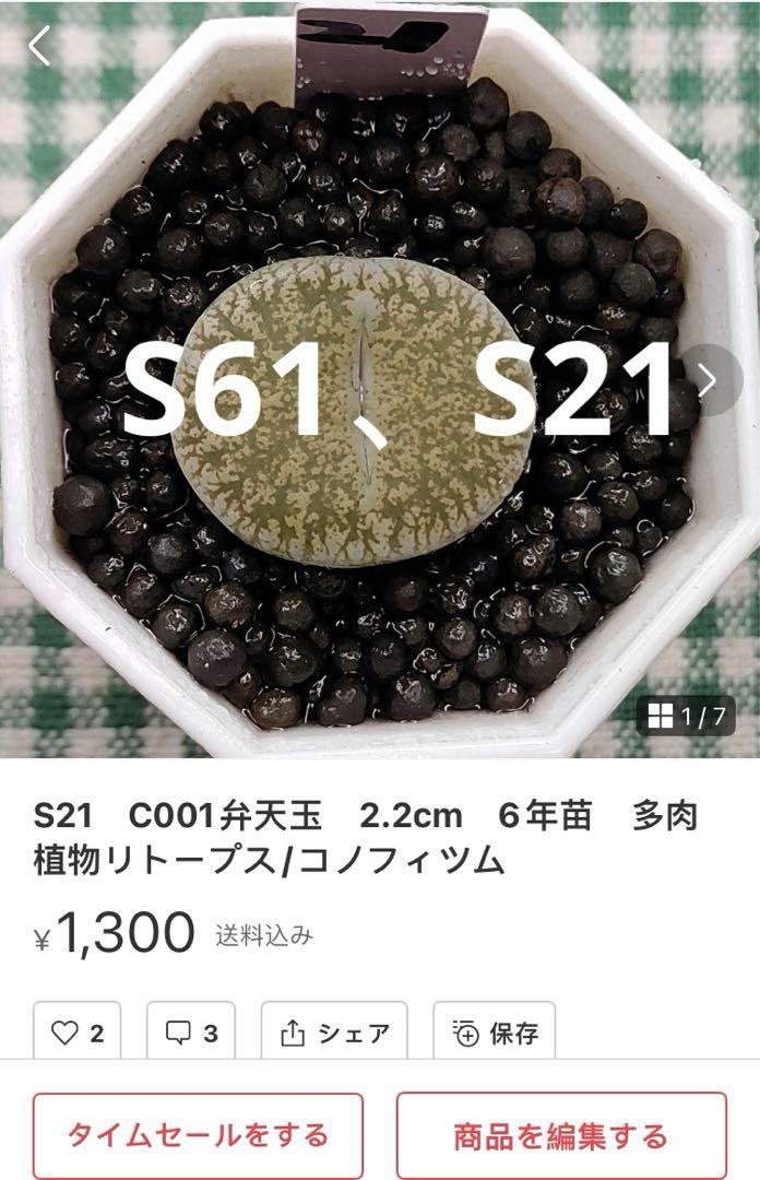 土付き、S14 C189荒玉入りカラフルセット 多肉植物リトープス