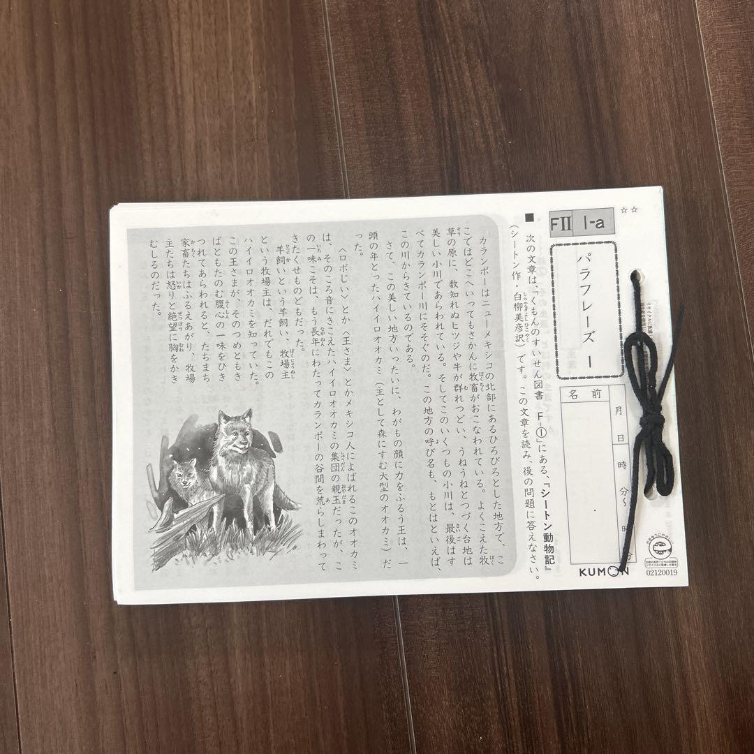 国語　FⅡ 1-200 未記入 公文 国語 F Ⅰ、Ⅱ 各200枚 合計400枚と終了テスト 未記入