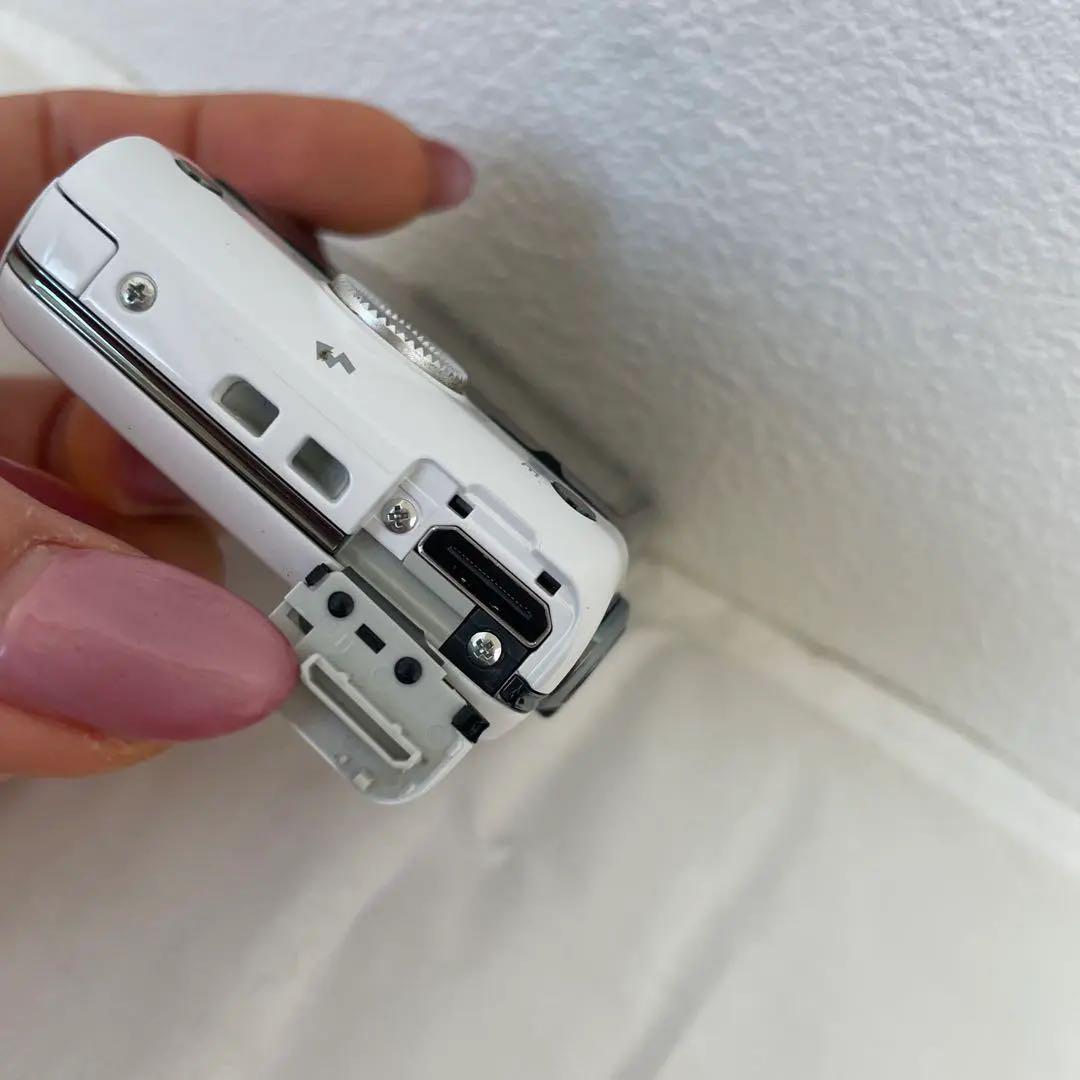 DSC-WX100