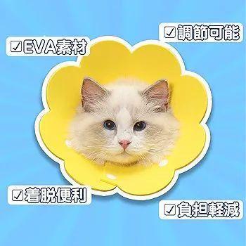 エリザベス