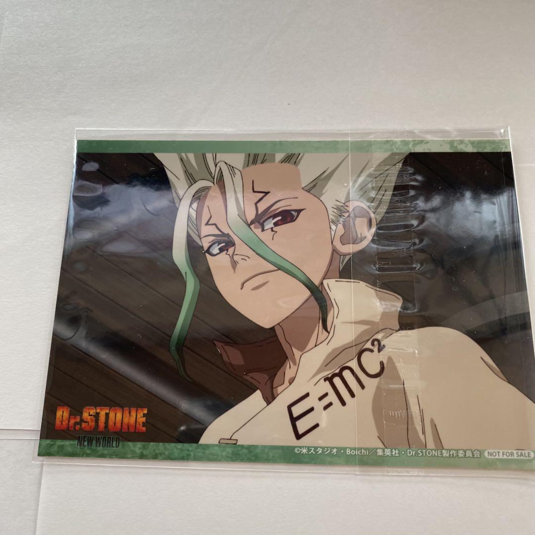 石神千空＆あさぎりゲン Dr.STONE Blu-rayDVDアニメイト特典