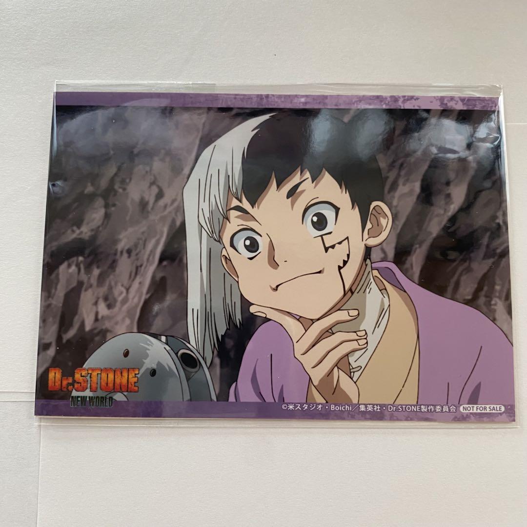 石神千空＆あさぎりゲン Dr.STONE Blu-rayDVDアニメイト特典