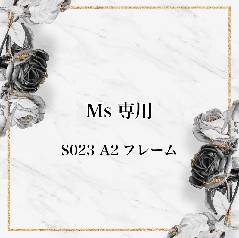 写真・グラフィック Ms