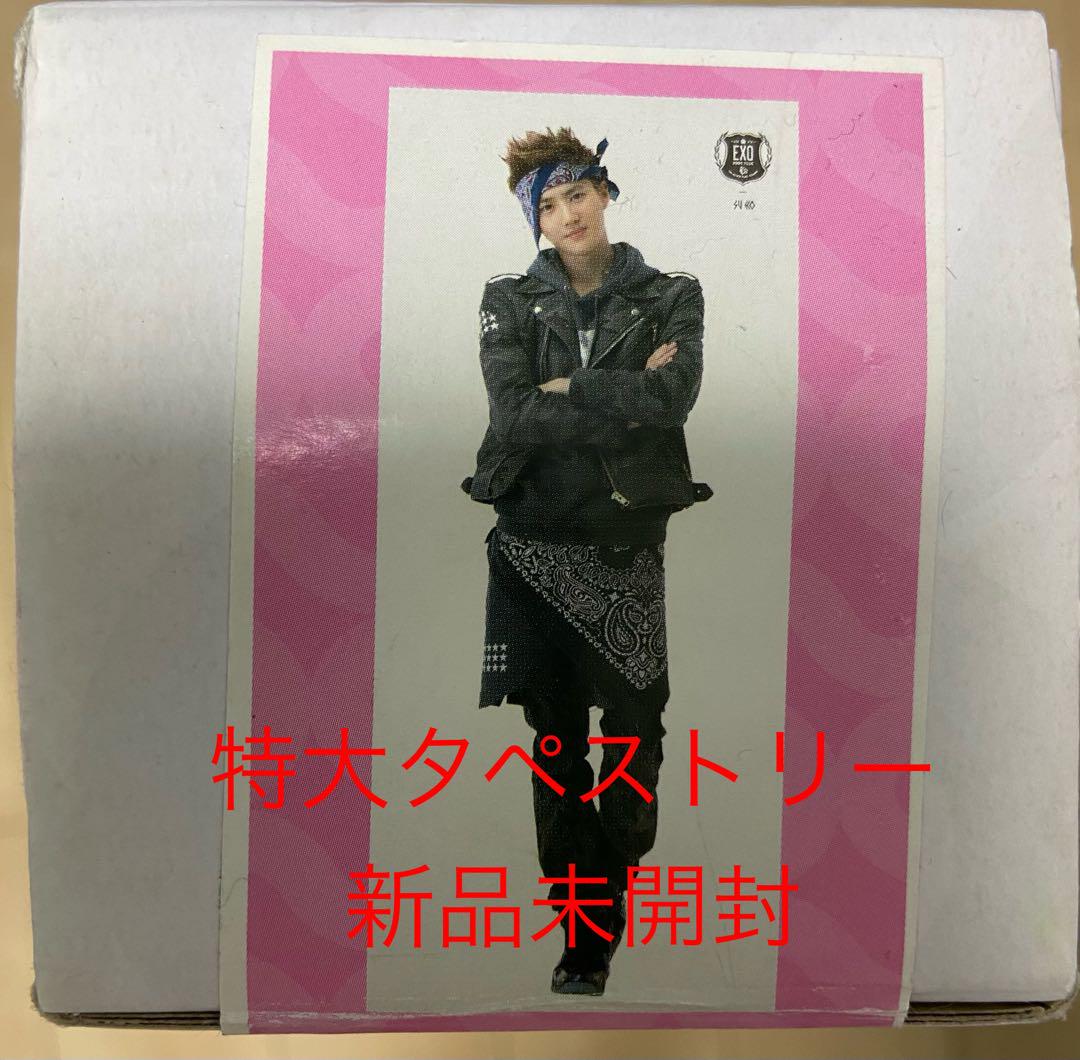 EXO スホ　特大タペストリー