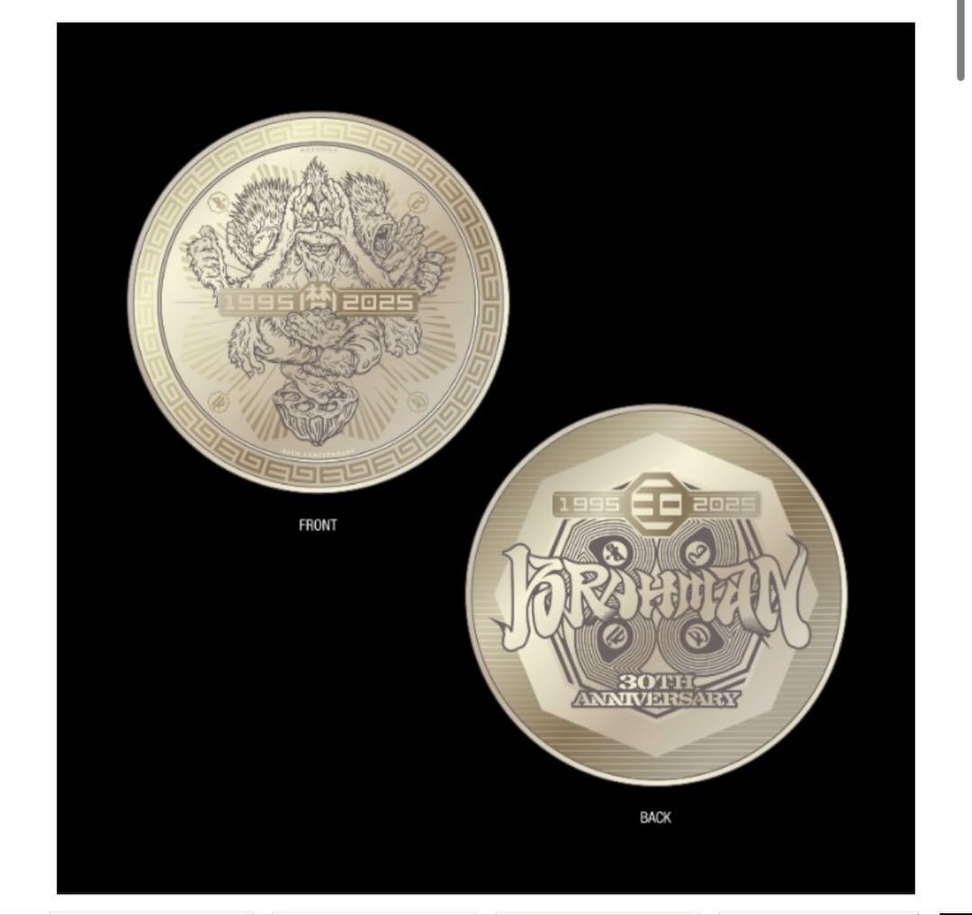 BRAHMAN viraha 完全生産限定盤 TシャツXL+グッズ