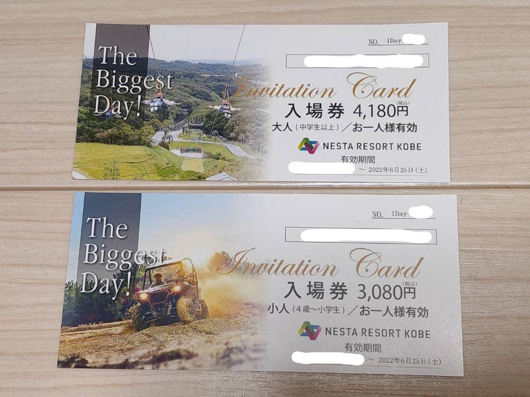 ハッピー&レア様専用】ネスタリゾート神戸 1DAYパス 4枚 villededakar.sn