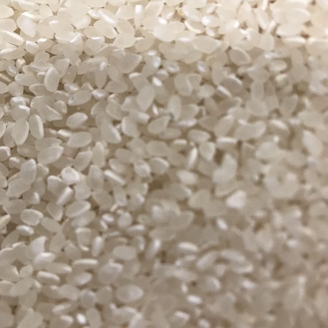 農家直送10kgコシヒカリ　購入後精米