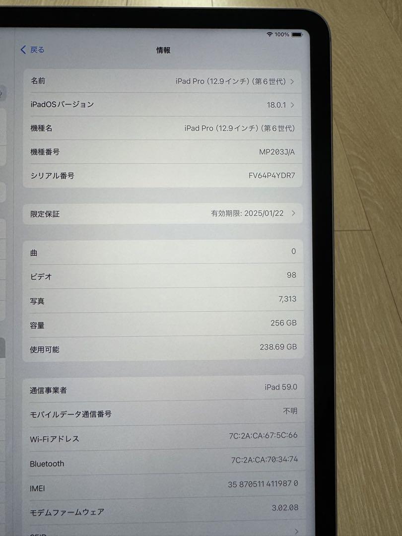 iPad Pro 12.9 第6世代 256GB Cellular ペンセット
