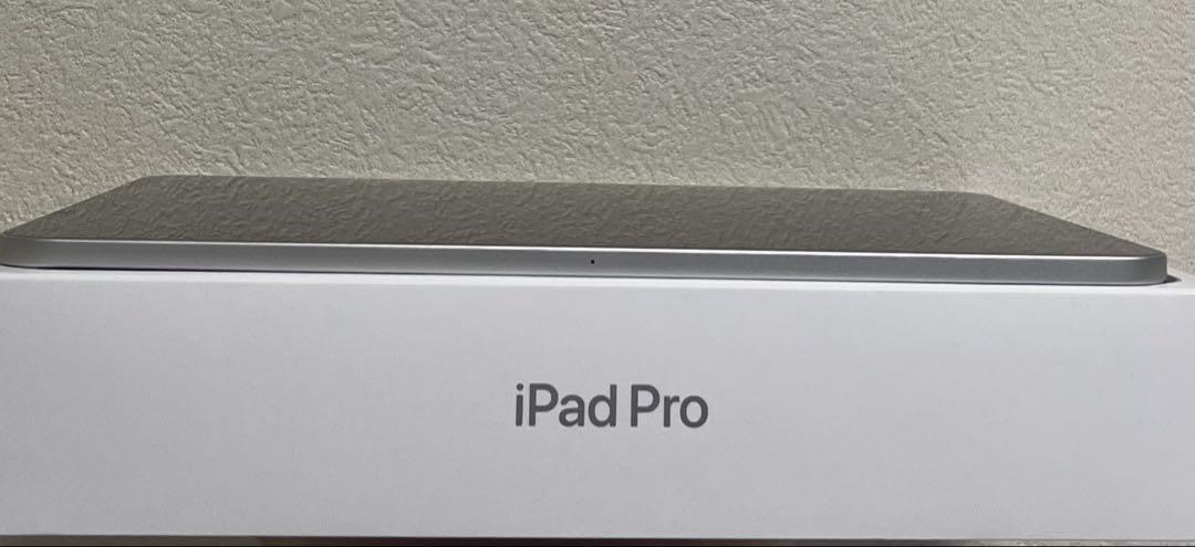 iPad Pro