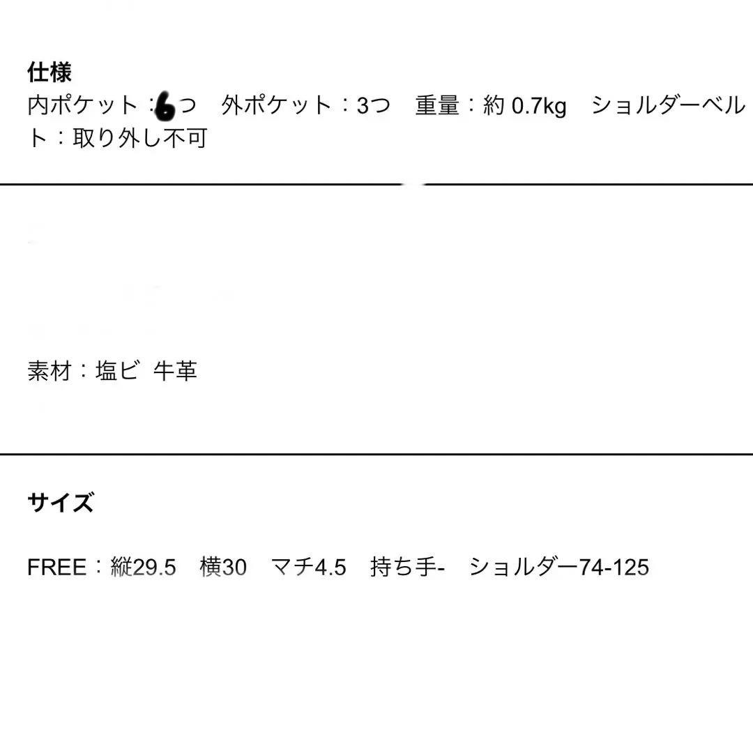 Vivienne Westwood ハミルトン ショルダーバッグ 画像3