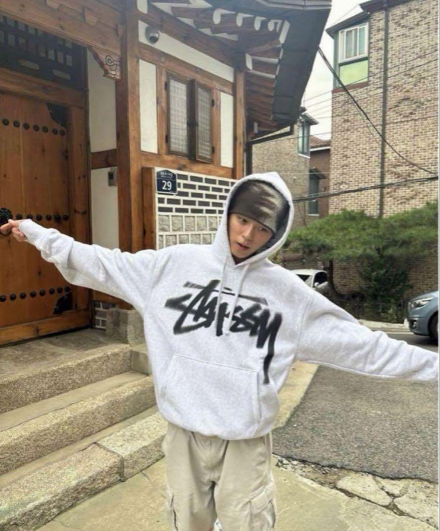 stussy DIZZY STOCK HOODIE ステューシー　パーカー