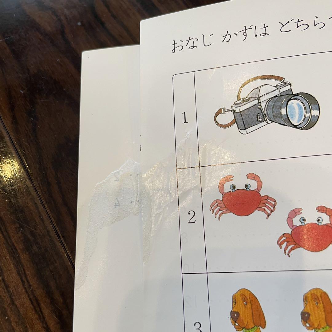 美品 家庭保育園 グレン•ドーマン ジャネット•ドーマン 8冊セット まとめ売り imgrc0086565763.jpg