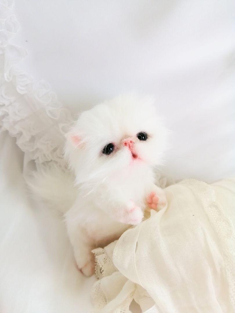 甘えん坊ちゃん♡エキゾチックベビー♡子猫♡アートドール♡ぬいぐるみ♡