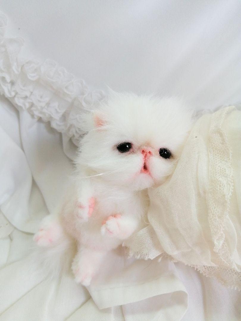 甘えん坊ちゃん♡エキゾチックベビー♡子猫♡アートドール♡ぬいぐるみ♡