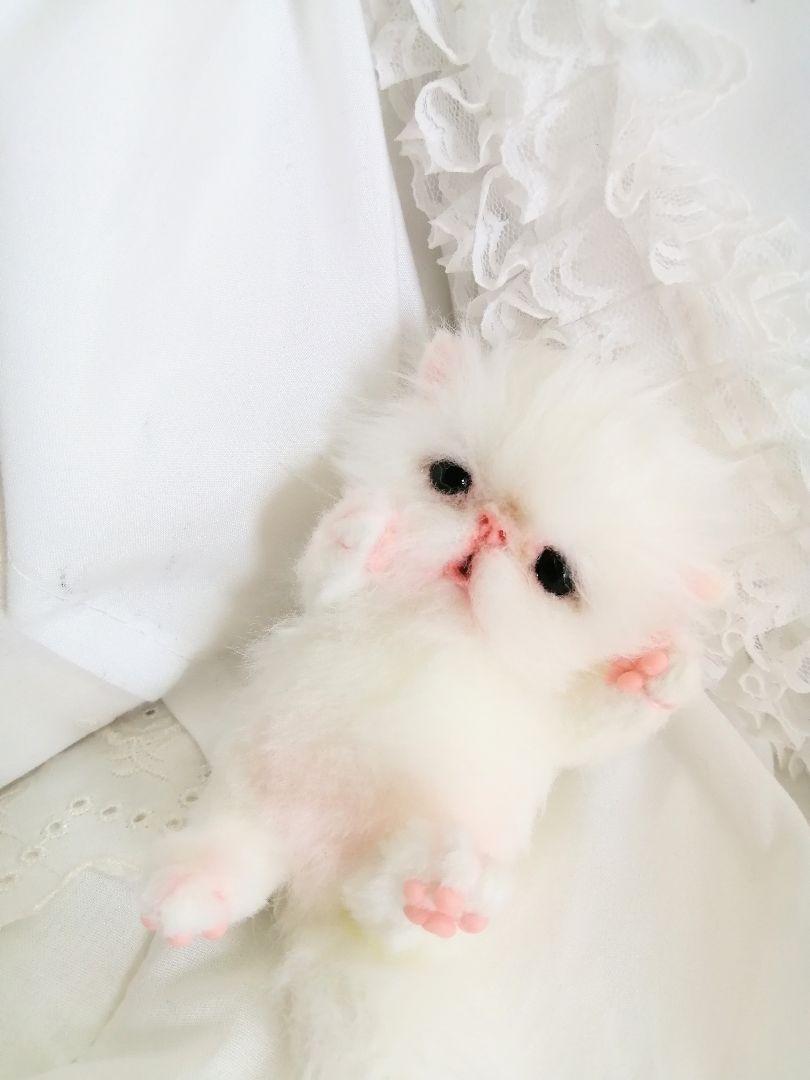 甘えん坊ちゃん♡エキゾチックベビー♡子猫♡アートドール♡ぬいぐるみ♡
