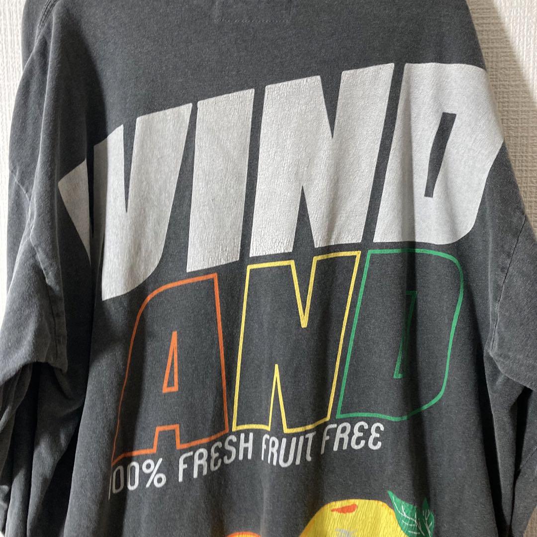 WIND AND SEA ウィンダンシー Tシャツ ガーメントダイ加工 フルーツ