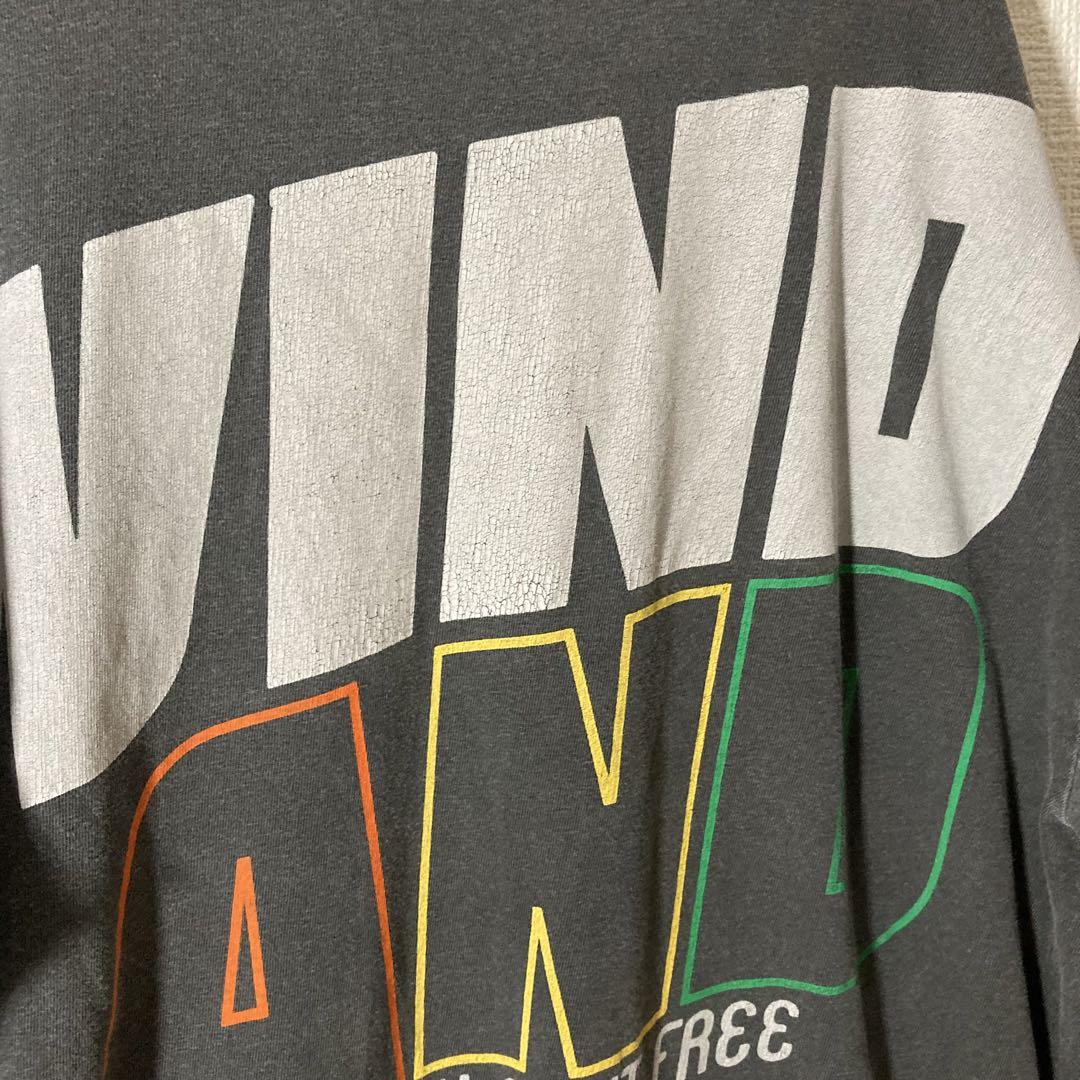 WIND AND SEA ウィンダンシー Tシャツ ガーメントダイ加工 フルーツ