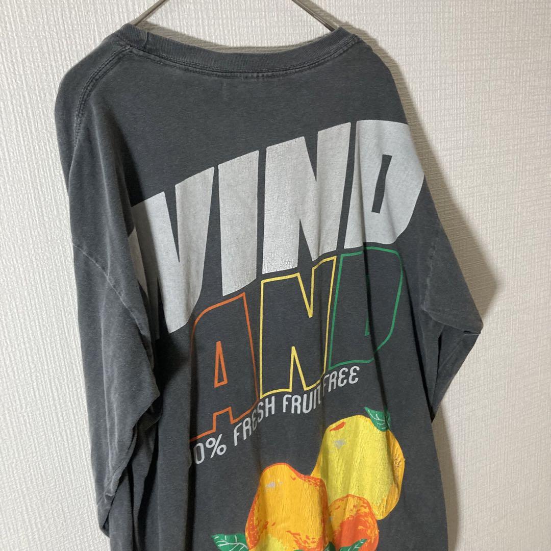 WIND AND SEA ウィンダンシー Tシャツ ガーメントダイ加工 フルーツ