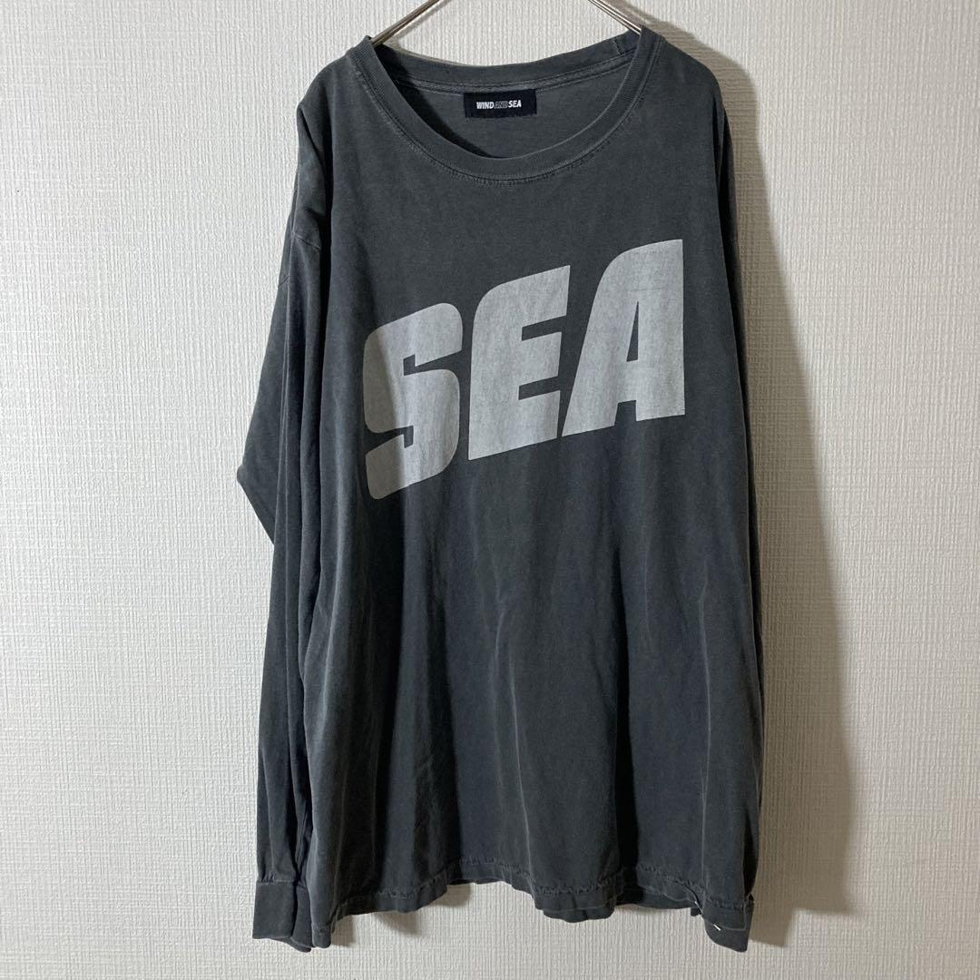WIND AND SEA ウィンダンシー Tシャツ ガーメントダイ加工 フルーツ