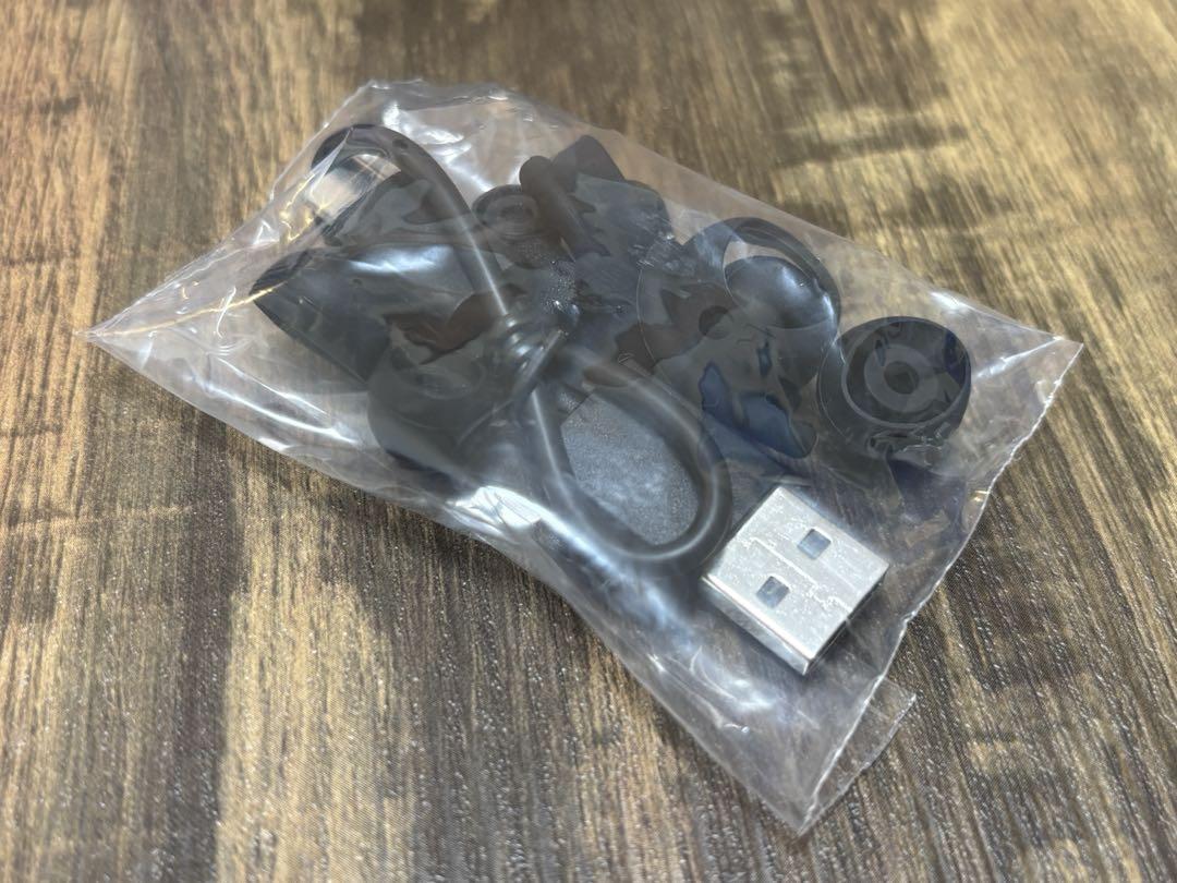 デノン Denon ワイヤレスイヤホン PerL Pro AH-C15PL