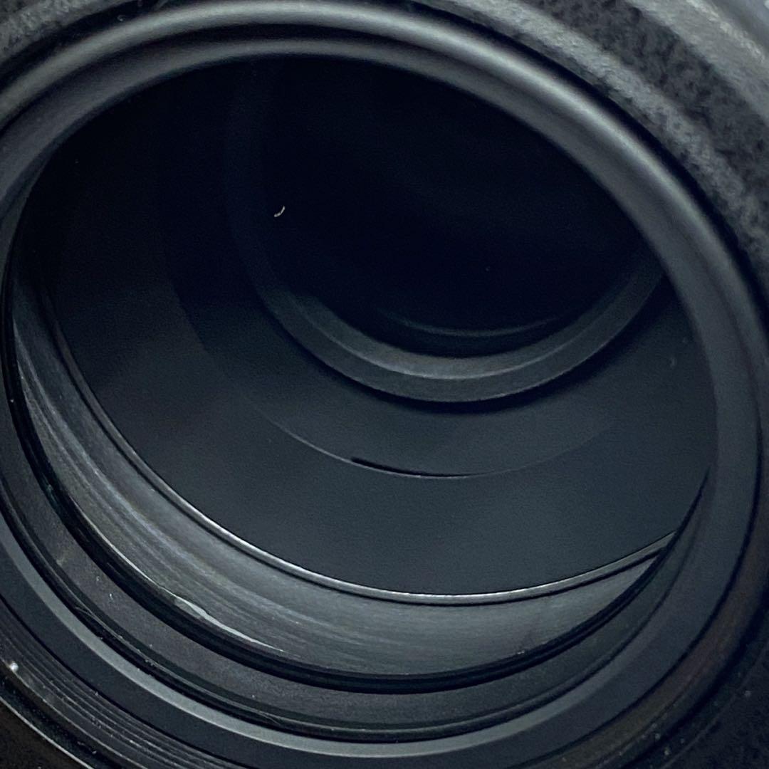❤美品❤ニコン AF-S 55-300mm F4.5-5.6 VR❤手振れ補正