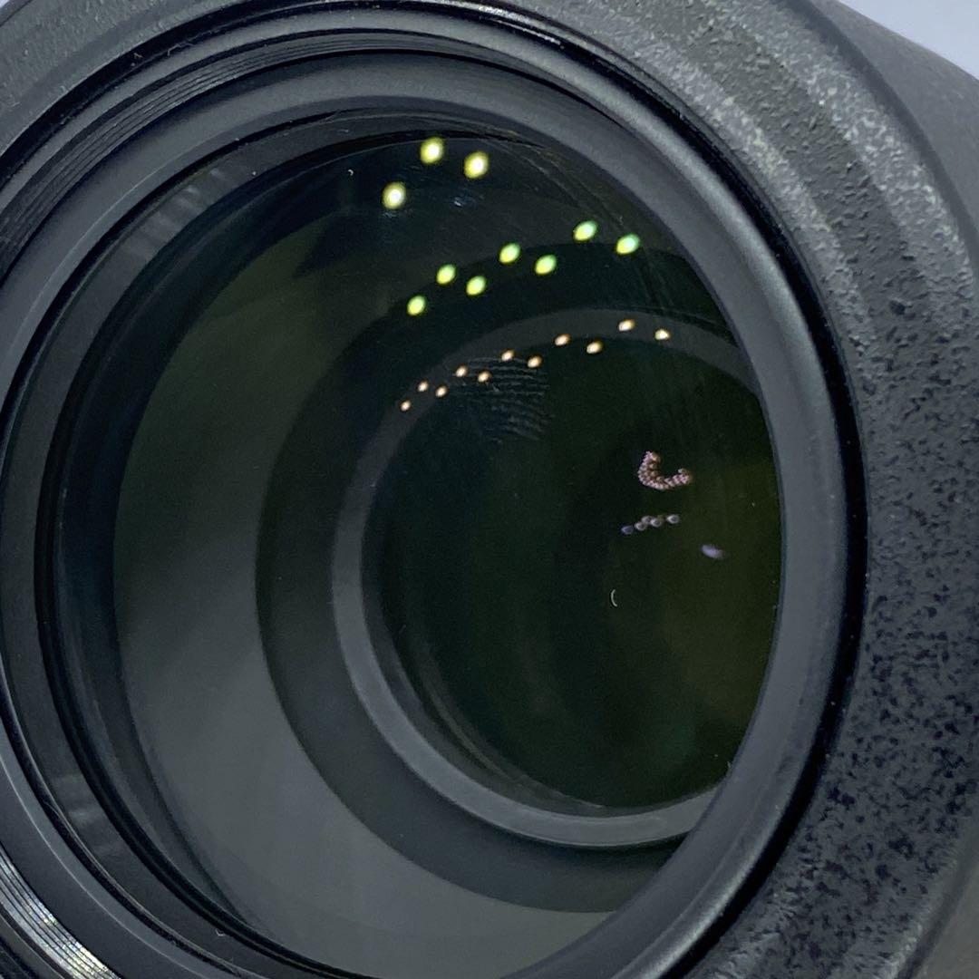 ❤美品❤ニコン AF-S 55-300mm F4.5-5.6 VR❤手振れ補正