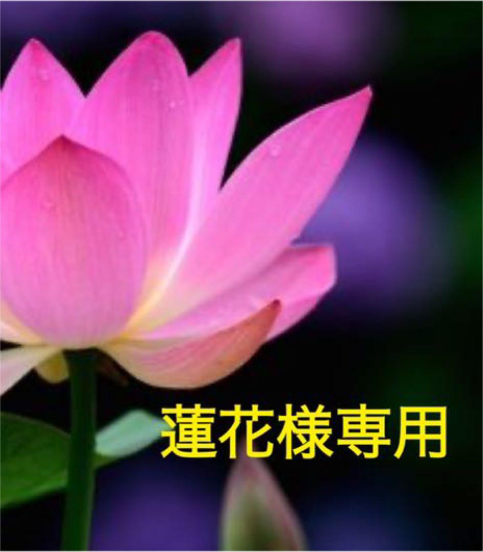 蓮花様専用 紅花染め リバーシブルジャケット
