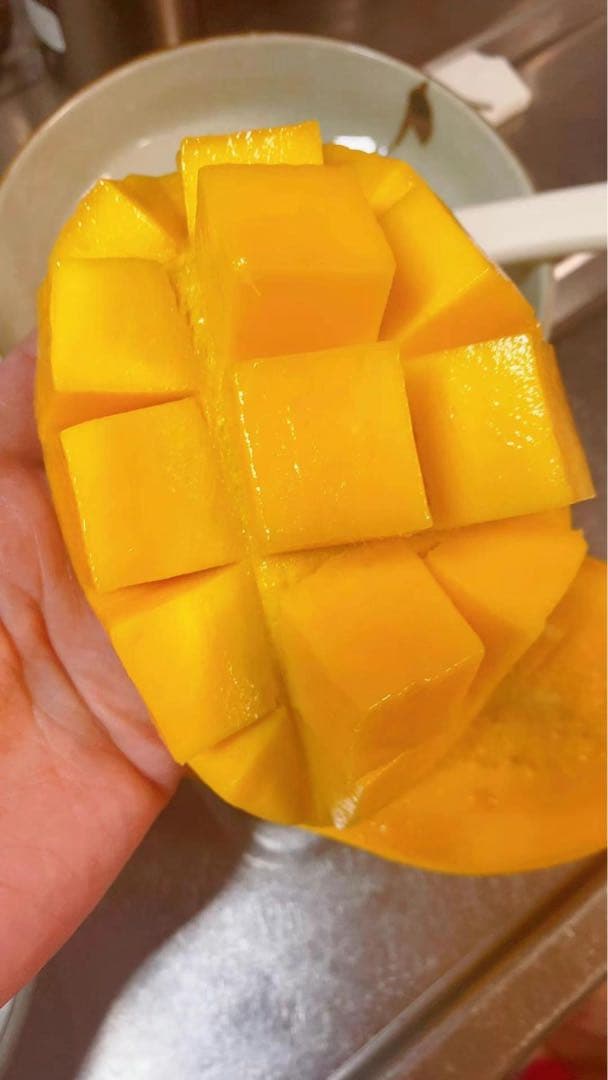 半額SALE／ ❣️お得❣️宮崎県産 完熟マンゴー 18玉入 aob.adv.br