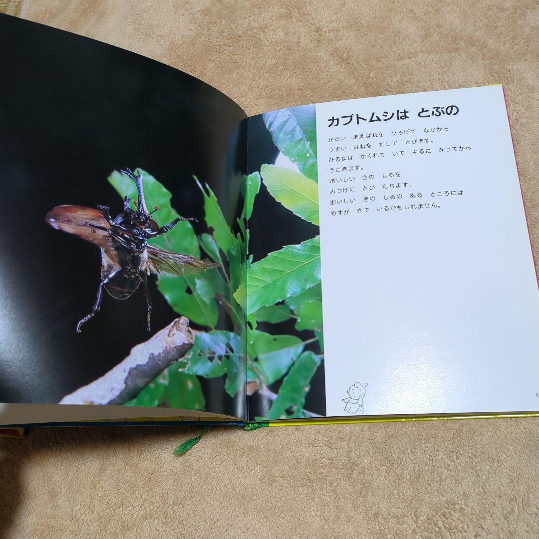 なぜなにブック　家庭保育園　全22巻　全22冊　新品未使用 家庭保育園なぜなにブック全22巻セット
