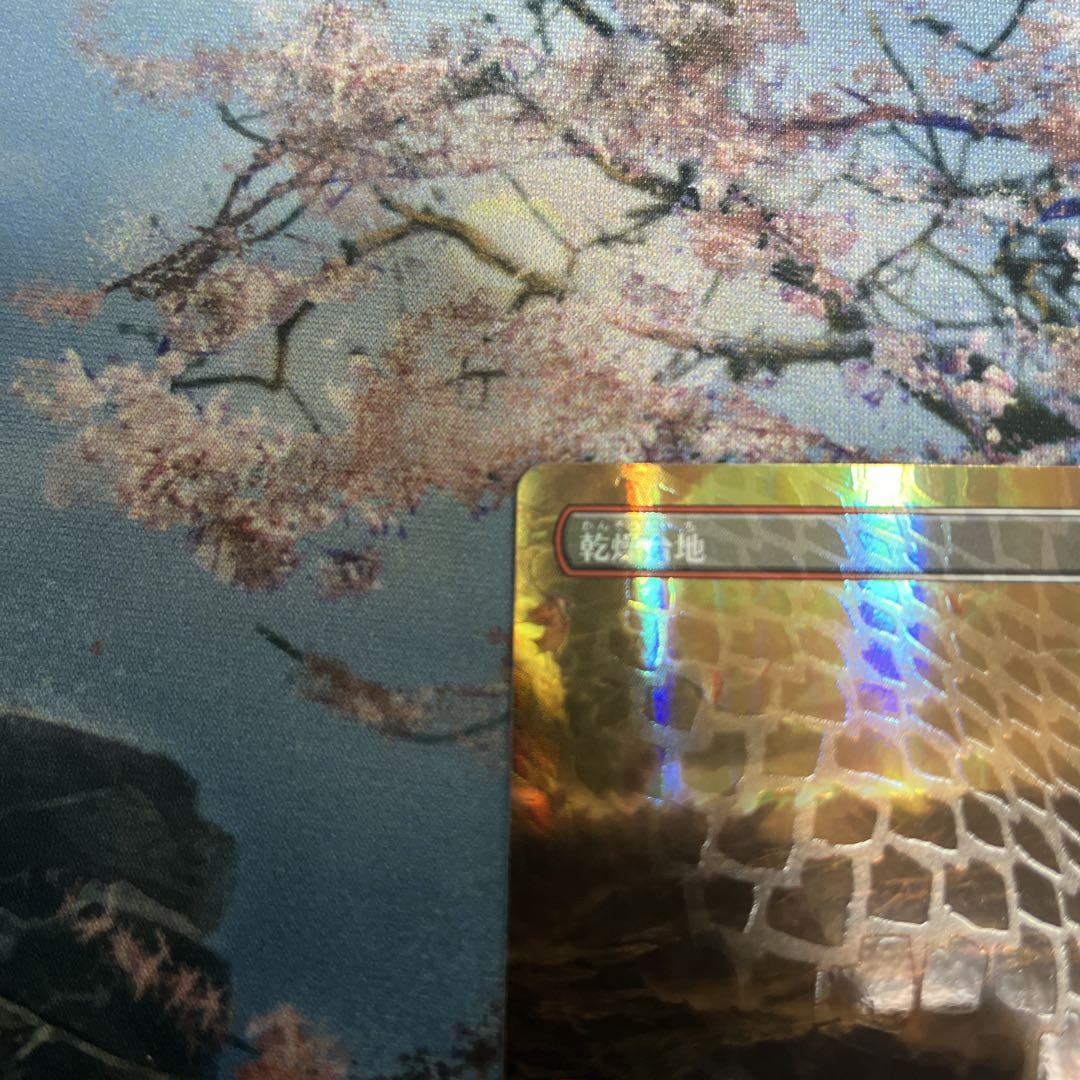 MTG 乾燥台地/Arid Mesa ドラゴンスケイルFoil - メルカリ
