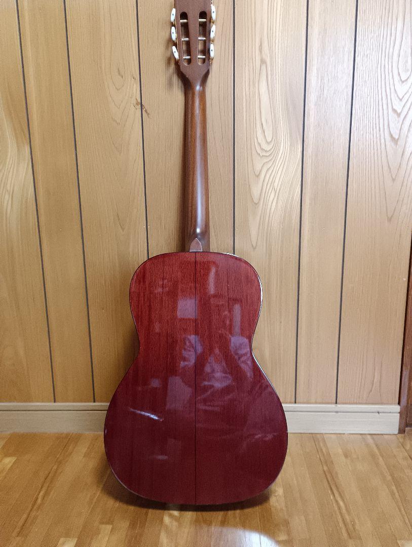 アコースティックギター、TAKAMINE TSN-500