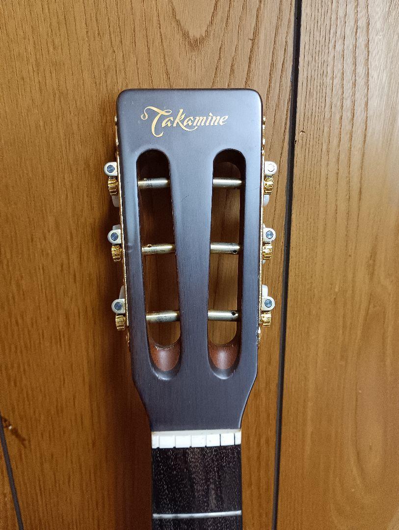 アコースティックギター、TAKAMINE TSN-500