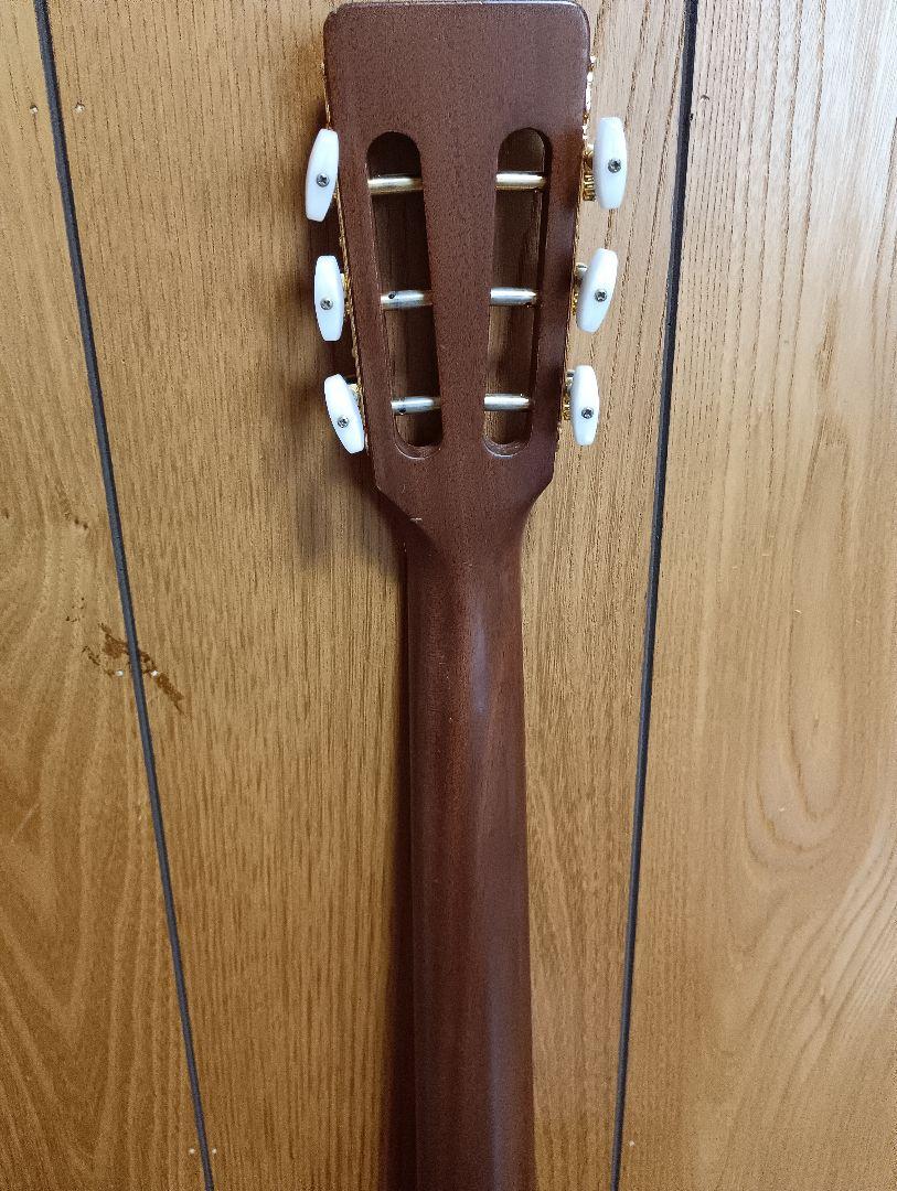 アコースティックギター、TAKAMINE TSN-500