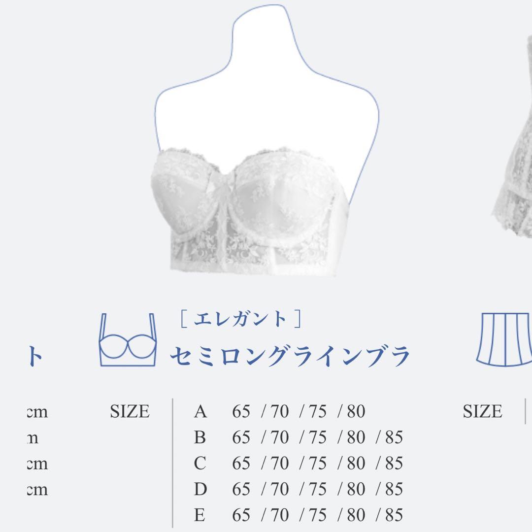 セモア ブライダルインナー ブラE75＆ニッパーセット70