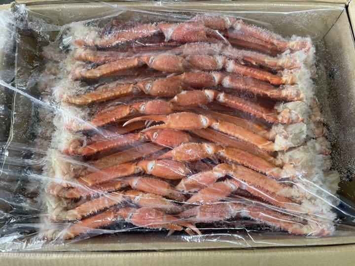 定番新作 北海道産 美味しいベニズワイガニ 5キロ カニ 蟹 5tHWP-m37241197899 最新品格安