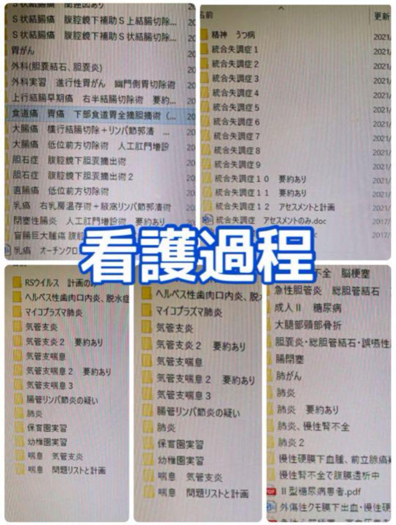 新規購入 関連図 実習 看護学生 看護計画 ヘンダーソン アセスメント 行動計画 健康・医学