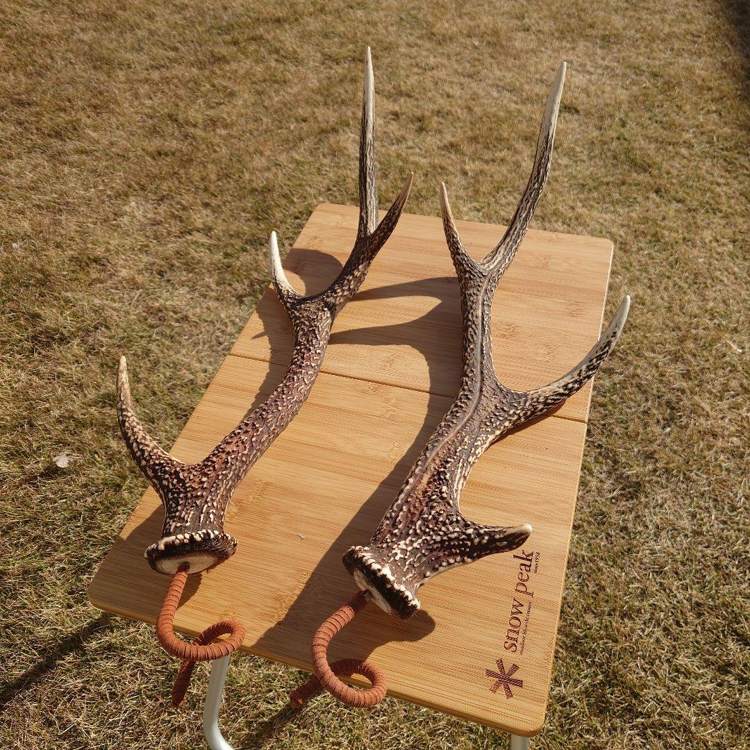 ２本セット ミドルサイズ 鹿の角ランタンハンガー　（スウェード加工）