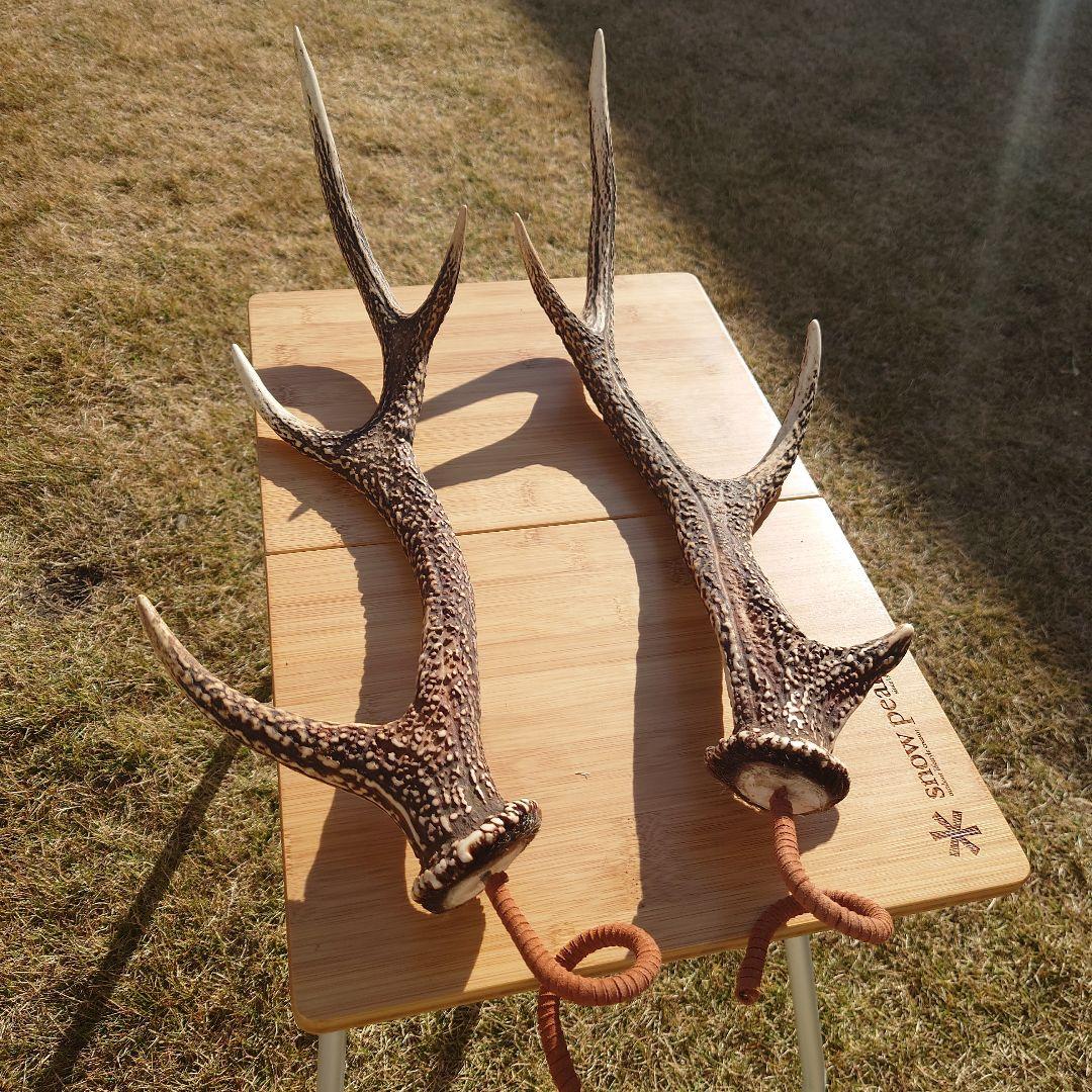 ２本セット ミドルサイズ 鹿の角ランタンハンガー　（スウェード加工）