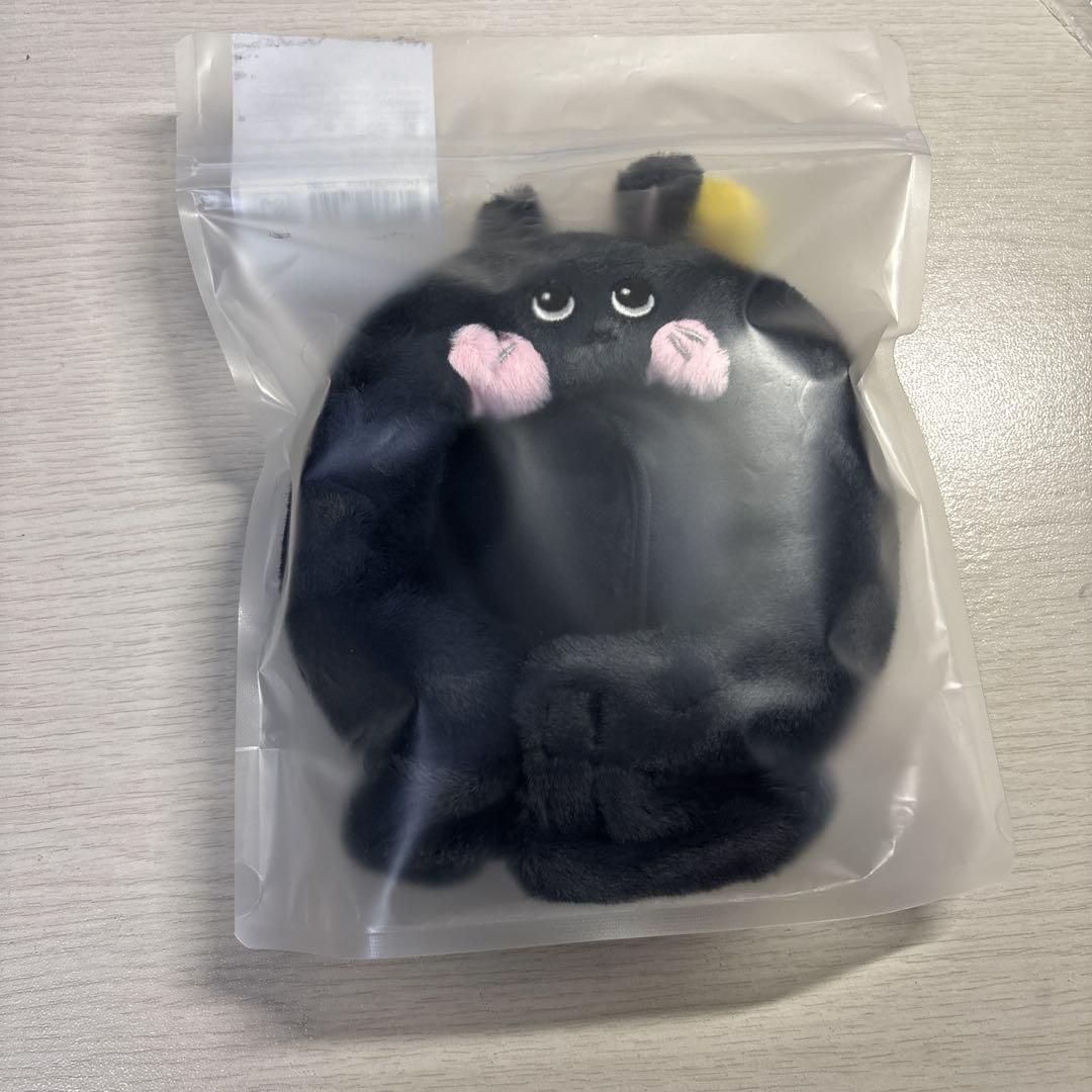 RIIZE ペンライト ウォンビン トニャンドク ぬいぐるみ RIIZE 公式ペンライト ウォンビン ぬいぐるみ 토냥덕 トニャンドク