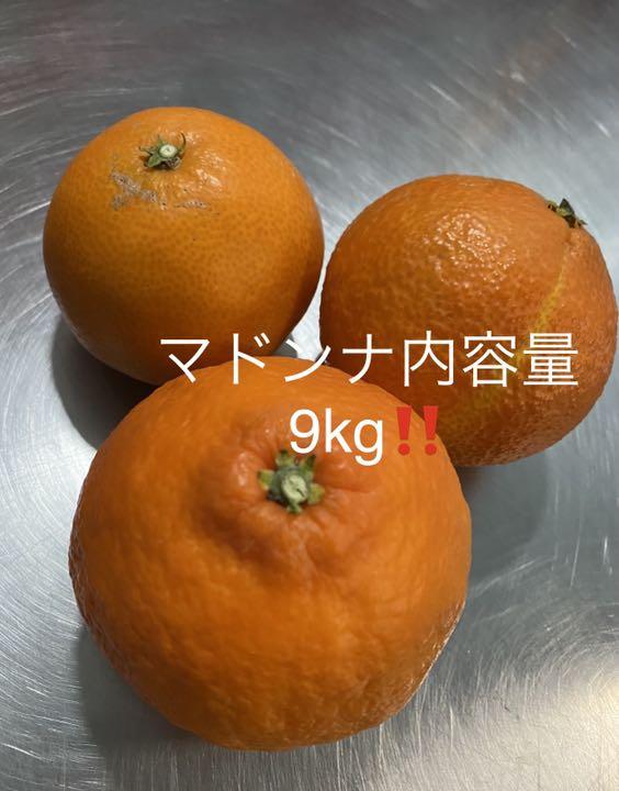 本気‼️総重量20kg以上‼️数量5‼️スペシャルコラボ興居島みかんと愛媛まどんな‼️ lJtWN-m37280705220 国産超激得