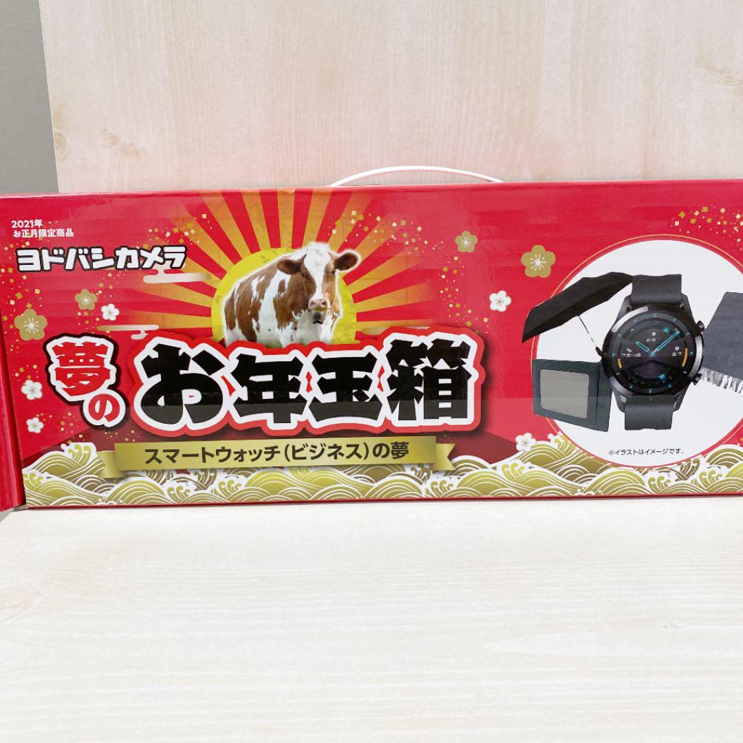 ヨドバシカメラ　2021年夢のお年玉箱