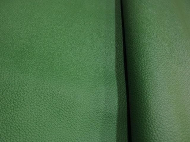 大きめ★シュリンク★クローム鞣し★グリーン★252ds