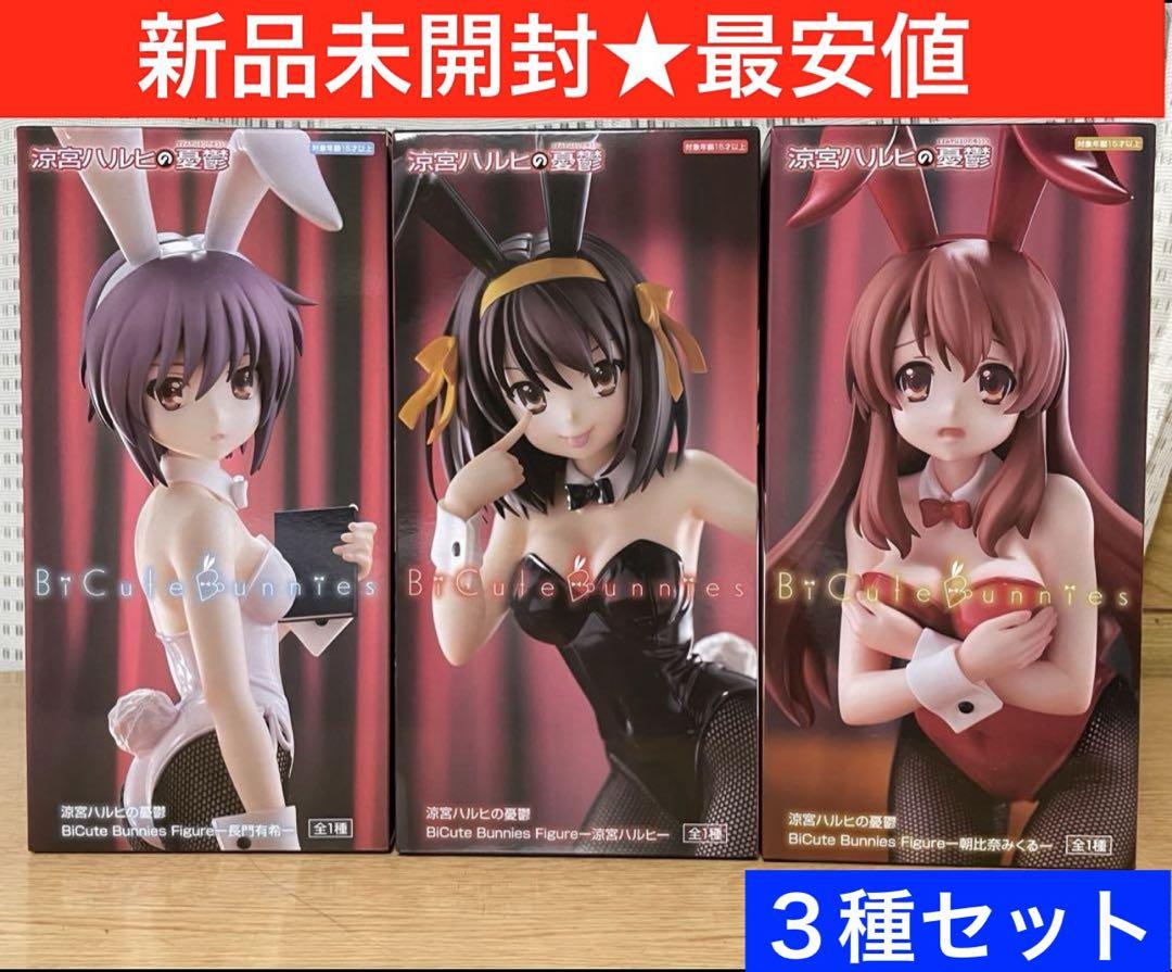 よるあみ 夜光性アミューズ 白空こあい サイン入り推しT ガラポン
