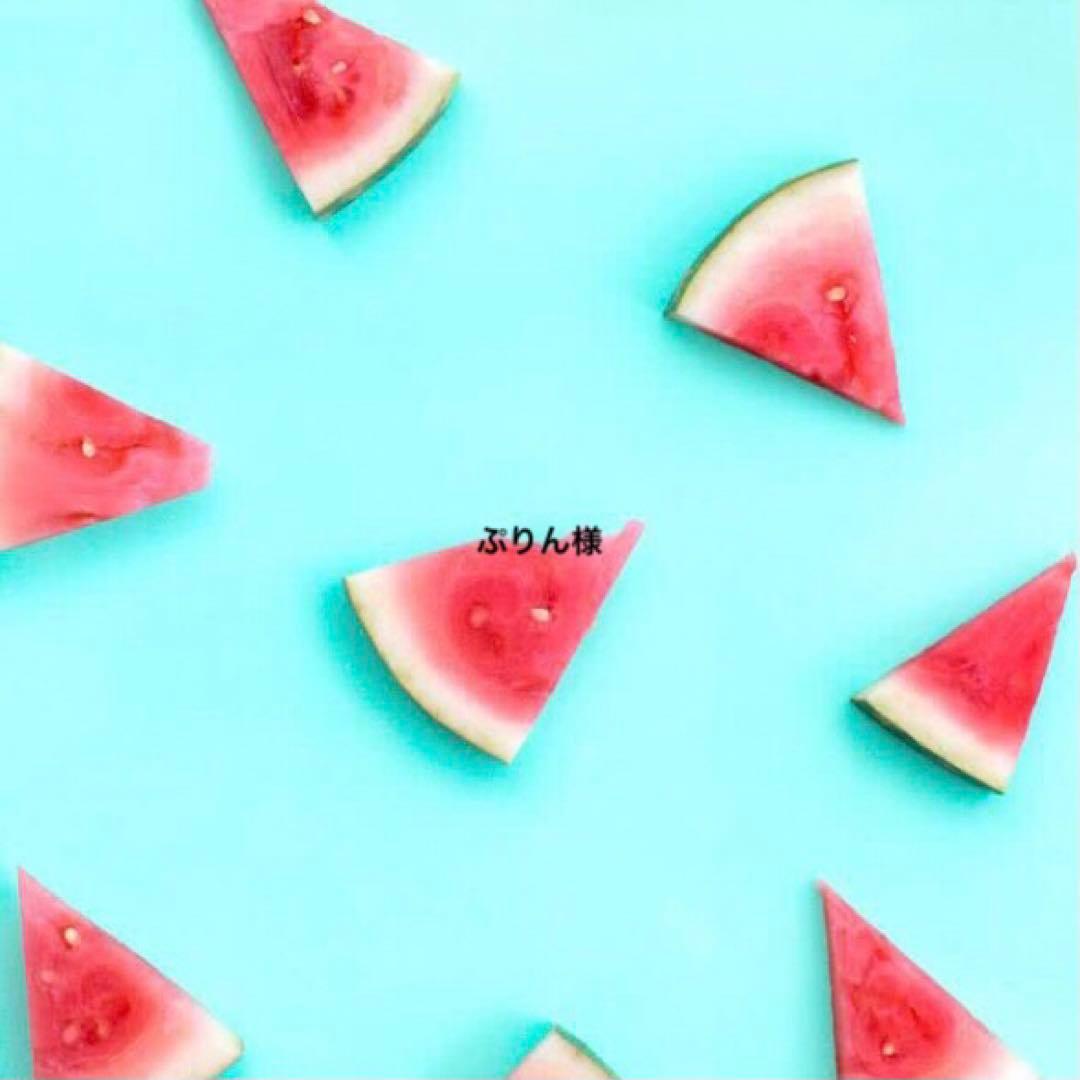 ぷりん様　anタックス、グレーM