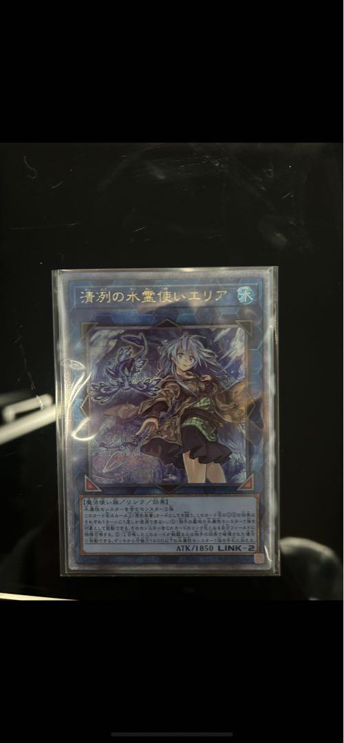 遊戯王 清洌の水霊使いエリア25th