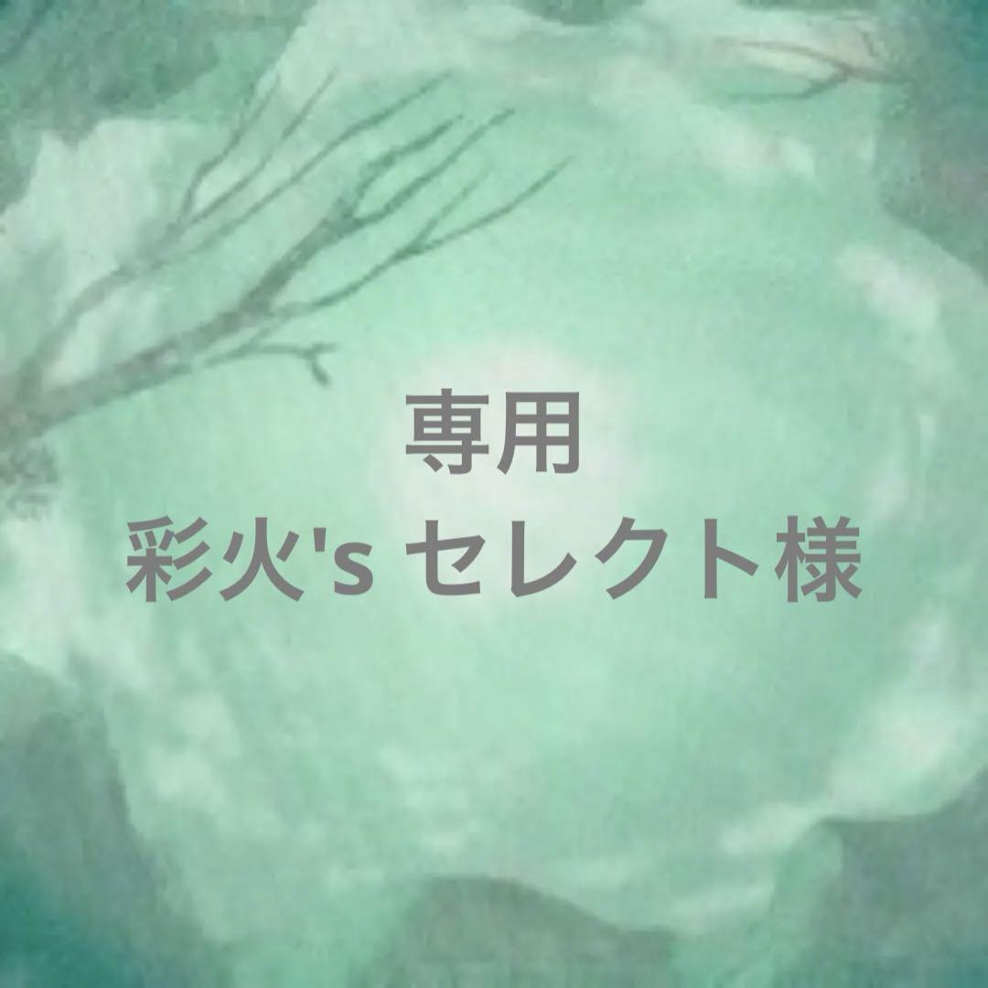 ④専用ページ 彩火's セレクト@プロフ必読・代行×様