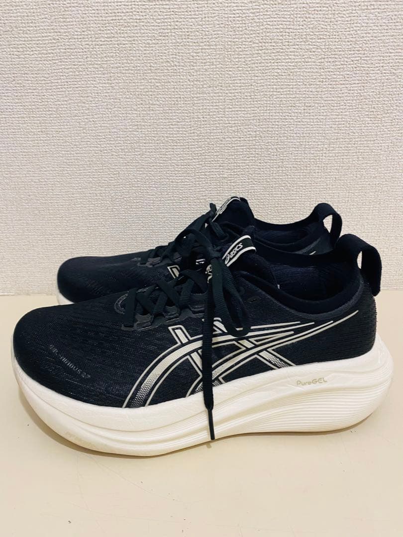 ゲルニンバス 24.5cm