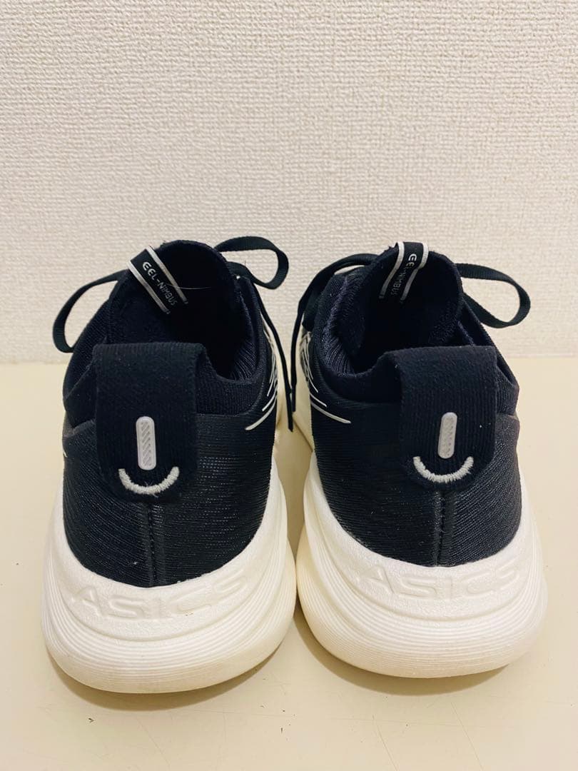 27 ゲルニンバス