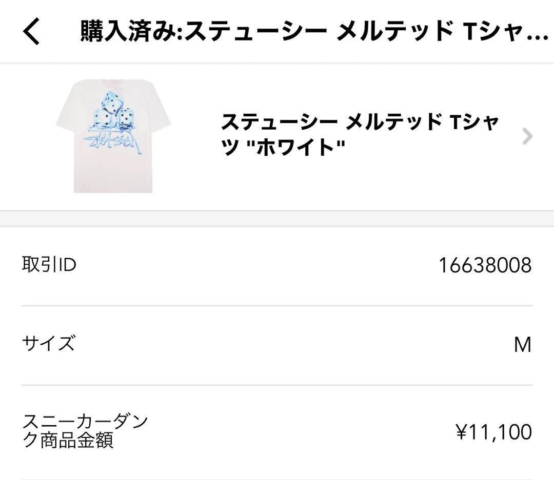 【STUSSY】★送料・関税込★メルテッドTシャツ STUSSY】 Melted T-Shirt / 追跡付 (STUSSY/Tシャツ・カットソー