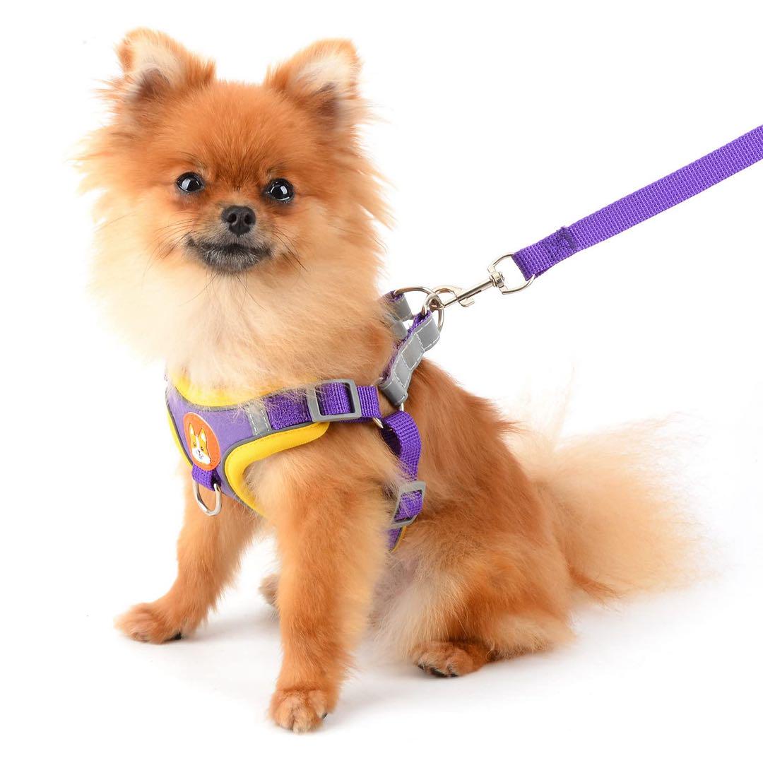 犬猫通用 ハーネス